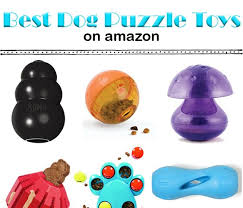 Check spelling or type a new query. Dog Toys Top 10 Best Puzzle Toys On Amazon For Your Smart Dog Dog Puzzle Toys Dog Toys Smartest Dog Breeds