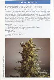 A pioneering seed bank with a >passion for perfection</b>, these innovators transformed the face of the cannabis community in 1997 with the introduction of feminized weed seeds, and. Old Seed Bank Catalogues Overgrow Com