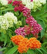 We did not find results for: 8 99