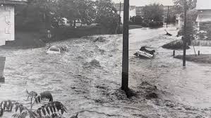 Image result for White 1972 Fedders