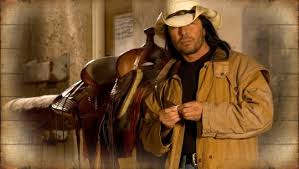 Les manches font aussi l'objet de fantaisies : Stars Stripes Western Fashion Stars Stripes Westernfashion