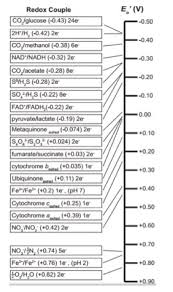 14 Respiration Biology Libretexts