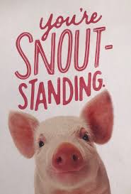 I Got This As A Postcard Yesterday From A Friend Of Mine Who Knows I Piggies Pig Pig Ears Baby Pigs