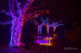 Der botanische garten in berlin. Christmas Garden Berlin Berlin Av Berichte Fotos Und Videos Aus Berlin