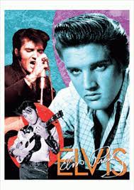Check spelling or type a new query. Elvis Presley 3d Puzzle 500pcs Puzzles Merchandise Sanity