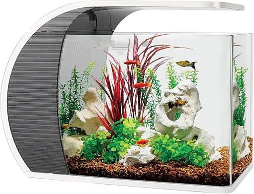 hygger 5 Gallon Fish Aquarium Starter Kits, Arc-Shaped Aquarium Kit with  3.2W Led Lighting, Hidden Filtration Box and Material, 5W Water Pump  Rainwater and Duck's Mouth Outlet, Fish Tank Glass Cover :