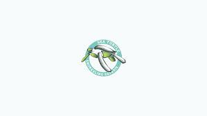 Baja designs is the scientists of lighting, contact us today for more info! Tourism Logo Design For Sea Turtle Snorkeling Safaris By Dalibor Pajic Design 3298382