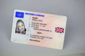 British Expats In Spain Should Get Spanish Driving Licences Asap Uk Government Brexit Memo Warns Lead Poli Passport Online Visa Online Certificates Online