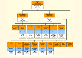 Social Welfare Department Dsw Organisation Chart