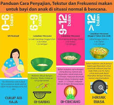 Sehingga 6 bulan bayi mempunyai cukup susu ibu atau susu tiruan. Cuties Babyfood Panduan Mengatur Jadual Makanan Untuk Facebook