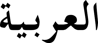 بي بي سي العربية هي شبكة لنقل الأخبار والمعلومات ومقاطع الفيديو إلى العالم عبر عدة وسائط، تشمل الإنترنت ومواقع التواصل الاجتماعي والراديو والتلفزيون والهواتف المحمولة. Arabic Wikipedia