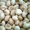 Resep rahasia membuat mie ayam sendiri dirumah. Https Encrypted Tbn0 Gstatic Com Images Q Tbn And9gcqjgeglfyteizjqr5fo Vfbeakr9i5eeedxcuwginrzjdcmdtk Usqp Cau