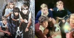 Bits Pieces Television Show Tv Series Comparison Five On A Treasure Island Famous Five Books Tv Series Famous