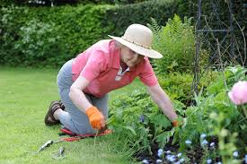 We also carry landscaping and garden supplies, from garden gloves and garden shears to rubber mulch and rain barrels that catch and conserve runoff. Are Garden Centres Open During Lockdown