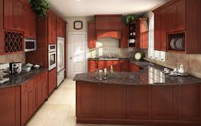 All Solid Wood Kitchen Cabinets 10x10 Fully Assembled Shaker Brandy Birch Solid Wood Kitchen Cabinets Dark Countertops Backsplash With Dark Cabinets
