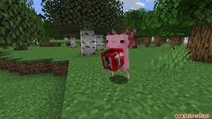 From zoos to cottages, its perfect for those who enjoy the easier minecraft life. Axolotls Mod 1 15 2 Adorable Unique Creatures 9minecraft Net
