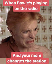 Enjoy This David Bowie Meme I Made Pt 2 David Bowie Meme David Bowie Queen David Bowie