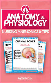 Anatomy And Physiology Nursing Mnemonics Tips Nursing Mnemonics Nursing School Studying Anatomy And Physiology