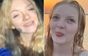 Photographer captures funny moment zebra crosses deserted road in South  Africa's Kruger National Park