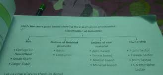 Draw A Flow Chart Of Classification Of Industries Brainly In