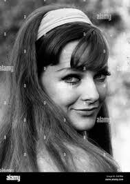 Heidi Rader's Instagram, Twitter & Facebook