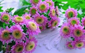Find top, most beautiful flowers names with image 2020. Top Best Flower Delivery Websites In India Crazypundit Com