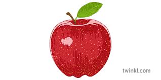 The apple is a sweet round fruit with a central core containing seeds, whilst the bulk of the fruit is comprised of edible flesh, and covered in a thin skin which is also edible. Apple Fruit Ø±Ø³Ù… Twinkl