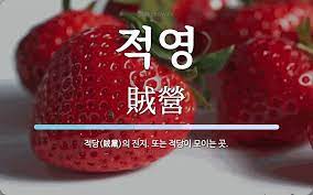 적영 뜻: 적당(賊黨)의 진지. 또는 적당이 모이는 곳.