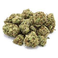 Andromeda The Green Solution Recreational Marijuana Dispensary In Colorado