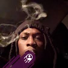 How do I find my stats for Blitz? Career tab doesn't have it 🤷🏻‍♂️