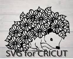 Download Pin On Hedgehog
