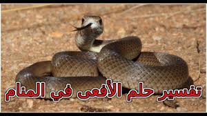 رؤية سم في المنام قد يسيب الكثيرين منا بالذعر كون السم ليس بالبشرة الطيبة فالبعض يتوقع انه والعياذ بالله رؤية تعبر عن الموت او الاصابة بمرض خبيث. Ø±Ø¤ÙŠØ© Ø§Ù„Ø§ÙØ¹Ù‰ ÙÙŠ Ø§Ù„Ù…Ù†Ø§Ù… Ù„Ø§Ø¨Ù† Ø³ÙŠØ±ÙŠÙ† Ù…Ø¹Ù‚ÙˆÙ„ Ù…Ø§ ÙØ³Ø± Ø¨Ù‡Ø§ Ø§Ø¨Ù† Ø³Ø±ÙŠÙ† Ø±ÙˆÙŠØ© Ø§Ù„Ø§ÙØ¹Ù‰ ÙÙ‰ Ø§Ù„Ù…Ù†Ø²Ù„ Ø­Ù†ÙŠÙ† Ø§Ù„Ø°ÙƒØ±ÙŠØ§Øª