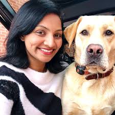 Dog daycare high clearance wycombe