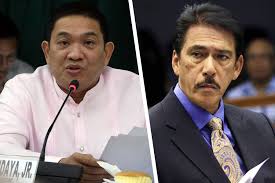 1st district of camarines sur. Andaya To Sotto Name Senators Who Cut Budget For Infra Social Programs