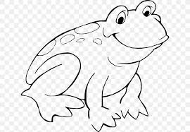 Select from 36544 printable crafts of cartoons, nature, animals, bible and many more. Red Eyed Tree Frog Coloring Book Toad Png 640x567px Watercolor Cartoon Flower Frame Heart Download Free