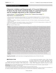 Image result for Casearia gladiiformis