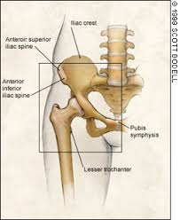 Image result for Hip Apophysitis