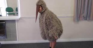 Fancy Dress Bird Costume For Kids Medium Bird Costume Kids Childrens Costumes Bird Costume