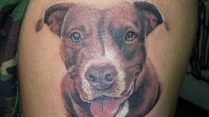 Yang gak kuat jangan lihat video cewek keluar kudetnya di tangan. Tato Anjing Buat Dog Lovers Imut Banget Merahputih