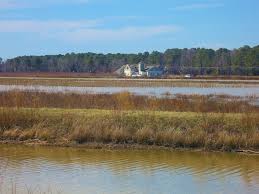 The blackwater national wildlife refuge was established in 1933 as a waterfowl sanctuary for birds migrating along the critical migration hi. Blackwater National Wildlife Refuge In Cambridge Maryland Kid Friendly Attractions Trekaroo