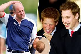 Prince Harry calls Prince William's ...