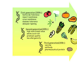 Genetically Modified Plants