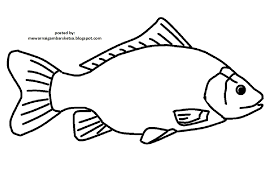 By gambar hewan kamis, 09 juli 2015 add comment. Mewarnai Gambar Mewarnai Gambar Sketsa Hewan Ikan 10