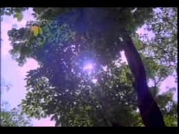 Maybe you would like to learn more about one of these? à´¶ à´² à´¨ à´¸ à´¨ à´¦à´° à´¯à´® à´†à´° à´¨ à´± à´® à´² à´² à´• à´š à´š à´® à´² à´² 1984