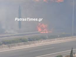 Mathites fytepsan dentra sto parko ekpaideftikon draseon (foto) Qgezik3zg6auxm