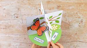 Download 3d Butterfly Life Cycle Paper Craft Youtube