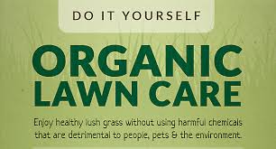 More detail info on the chemicals used here. Do It Yourself Organic Lawn Care