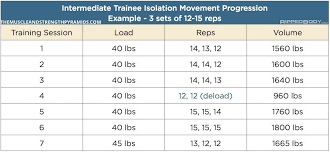 How To Keep Progressing As A Novice And Intermediate Trainee