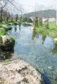 صورة من الطبيعة في منطقة وادي الملك في صفورية بالداخل الفلسطيني المحتل Outdoor Water River