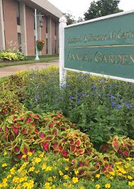 Lessons From The Garden Proven Winners